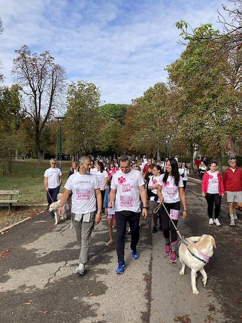 HUB and FAAC Technologies team during the Race for the Cure 